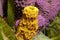 Marine life yellow tube sponge with purple sponge