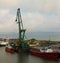 Marine loading crane