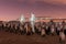 Marine Parkway-Gil Hodges Memorial Bridge at night