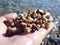 Marine pebbles