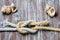 Marine rope tied Reef or Square Knot