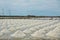 Marine salt farm