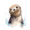 Marine seal watercolor illustration, marine animals clipart