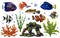 Marine set of tropical fish, corals, algae and stones. Underwater world, digital illustration. For design, packaging, printing,