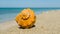 Marine shell lie on a summer sandy sea beach