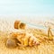 Marine still life with shells and a glass bottle