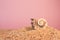 Marine swirl shell on beach sand on pink background. Vacation, travel concept