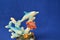 Marine theme, dolphin figurine, fish and shell on a blue background.
