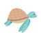 Marine turtle cartoon
