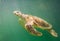 Marine turtle under the deep green sea