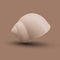 Marine underwater twisted shell on brown background with shadow