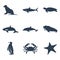 Maritime animals icon set. Vector illustration. Vector symbols