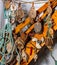 Maritime collection of ropes blocks and propellers