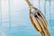 Maritime nautical wooden pulley with ropes of old sailing yacht with sea water background