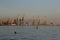 MARIUPOL, UKRAINE - SEPTEMBER 5, 2016: Many big cranes silhouette in the port at golden light of sunset