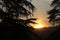 Mark able sunset view in deep forest