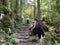 Marked tourist-hiking trail in Golubinjak forest park or Cave trail in Gorski kotar - Sleme, Croatia