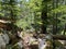 Marked tourist-hiking trail in Golubinjak forest park or Cave trail in Gorski kotar - Sleme, Croatia