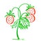 Marker bright red strawberries with leaves hand drawn line stroke pattern watercolor fruit food