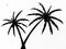 Marker hand Drawn silhouette of palm trees isolated on a white background. Illustration.