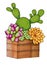 Marker illustration of blossom cactuses