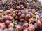 Market Bounty: Fresh Grapes Galore