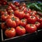 Market bounty Large red tomatoes create a vibrant market stall