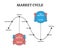 Market cycle vector illustration. Labeled scheme in outline diagram concept