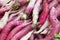 Market Fresh Radishes, Nepal