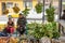 Market for fruits and vegetables, bananas for sale. South America, Quito, Ecuador.