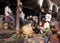 The Market in Mitsamiouli on Grande Comores Island, where most people are living in poverty