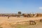 Market Place in rural Kenya