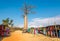 Market at the road to Baobab avenue