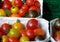 Market stall with fresh tomatoes in red and yellow as well as black tomato varieties