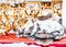 Market stall traditional souvenirs such as reindeer skin and horns at winter Finland in Lapland in winter