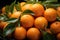 A market tableau of abundant mandarin harvest.