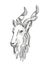 Markhor Endangered Wildlife Cartoon Retro Drawing