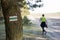 Marking tourist routes on a tree in the forest. Trees with signs