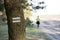 Marking tourist routes on a tree in the forest. Trees with signs