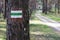 Marking tourist routes on a tree in the forest. Trees with signs