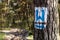 Marking tourist routes on a tree in the forest. Trees with signs