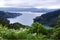 Marlborough Sound with hebe in the foreground