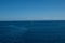 Marlborough Sounds in New Zealand on a clear sunny day - view from the ferry crossing between Wellington and Picton