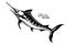 Marlin fish logo template. Sailfish jumping out of the water.