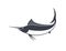 Marlin logo. Isolated marlin on white background