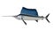 Marlin and sport fishing