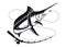 Marlin Swordfish and a fishing rod vector illustration, catching fish symbol, fishing club logo