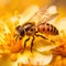 Marmalade hoverfly  Made With Generative AI illustration