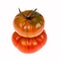 Marmande tomatoes