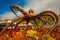 MARMARIS,TURKEY: Beautiful octopus sculpture on the promenade in Marmaris on a sunny day